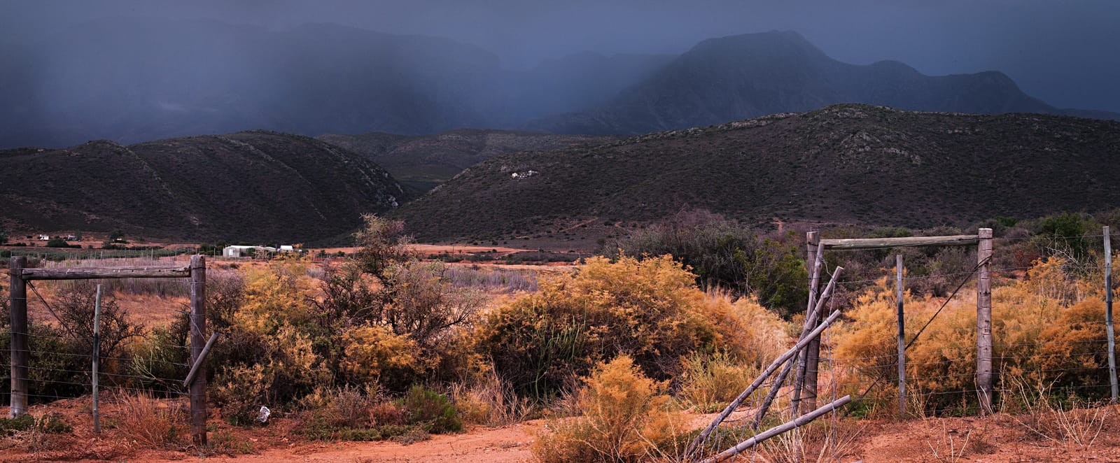 Rain falling from dark cloud over the mountains behind a Karoo farm, golden scrub and red earth in front, between an old wire fence and its gate.
